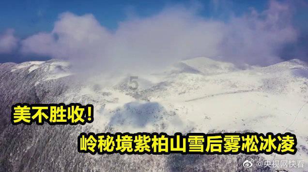 幻想森林逃生