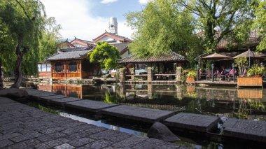 狗狗上颚受伤出血咋办游戏画面
