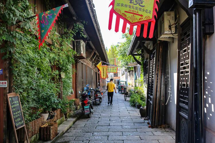 厦门“城市会客厅”白鹭洲公园迎来新客人